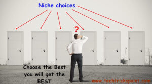 Quick Guide to Choose a Perfect Niche for websites